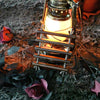 THORN GARDEN™ Torture device finger clamp free shipping