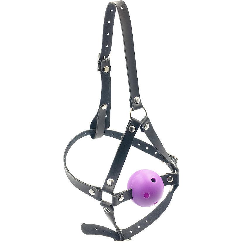 THORN GARDEN™ Harness type mesh mouth plug free shipping