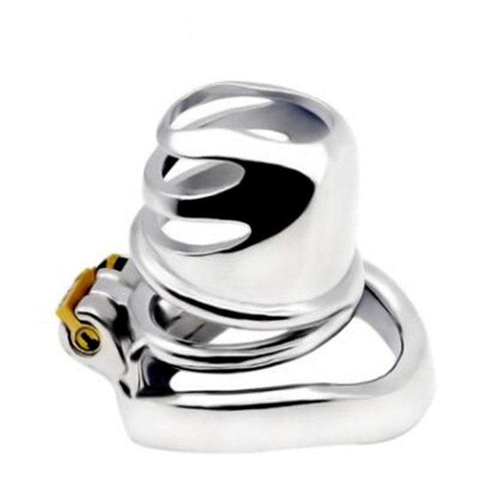 Upgrade Your Experience: Distinctive Design Chastity Locks