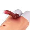 THORN GARDEN™ 1.65in diameter 6.81in long Strap-on Dildos free shipping LT182
