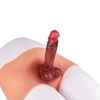 THORN GARDEN™ 1.3in diameter 6.5in long Strap-on Dildos free shipping LT107