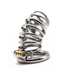 Unleash Passion with Adjustable Screw Attachment Male Chastity Lock