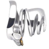 Upgrade Your Experience: Distinctive Design Chastity Locks