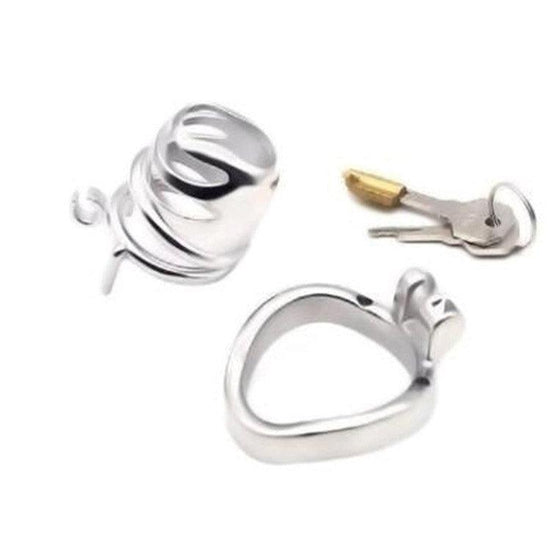 Upgrade Your Experience: Distinctive Design Chastity Locks