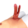 THORN GARDEN™ 6.73in long Strap-on Dildos free shipping LT75