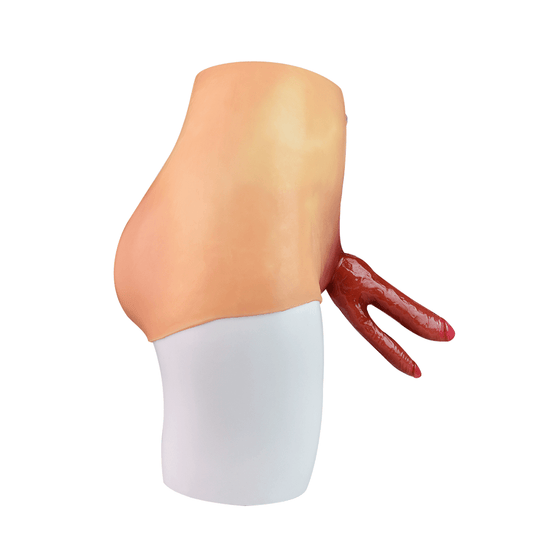 THORN GARDEN™ 6.73in long Strap-on Dildos free shipping LT75