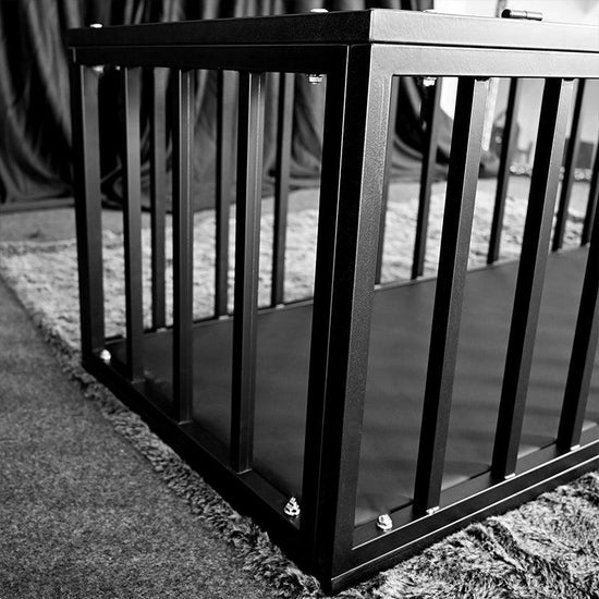 THORN GARDEN™ bdsm Forced to sleep in a standing cage free shipping