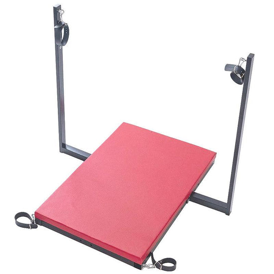 THORN GARDEN™ red leather bdsm bondage chair with sex machine and free shipping