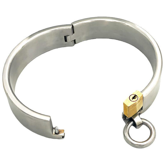 THORN GARDEN™ 0.9kg 3.2cm high stainless steel bdsm collar and free shipping