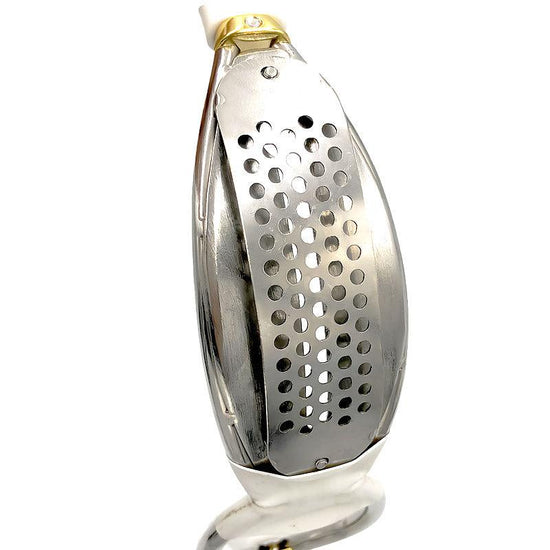 THORN GARDEN™ Female invisible chastity belt with lock and free shipping