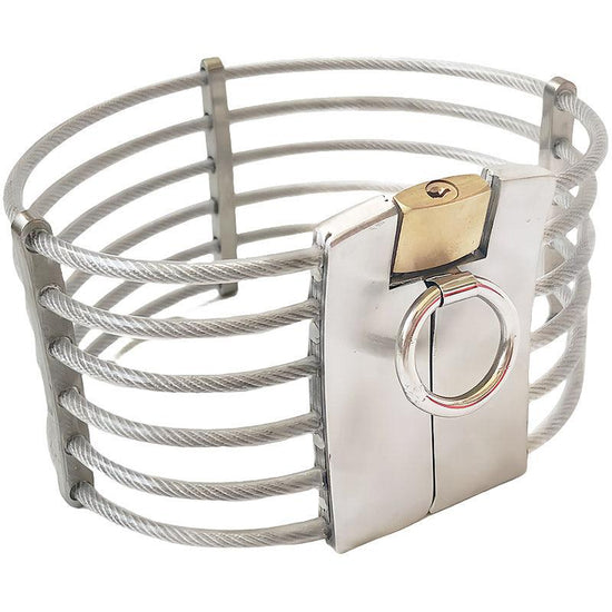 THORN GARDEN™ 0.5kg stainless steel wire slave collar free shipping