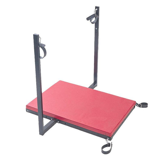 THORN GARDEN™ red leather bdsm bondage chair with sex machine and free shipping