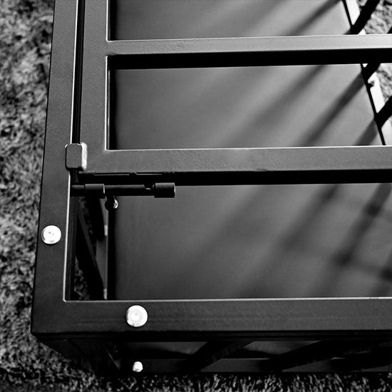 THORN GARDEN™ bdsm Forced to sleep in a standing cage free shipping