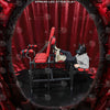 BDSM Bondage Bench - TGYWZ