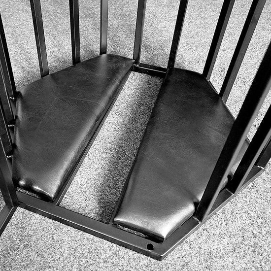 THORN GARDEN™ bdsm metal hanging cage free shipping