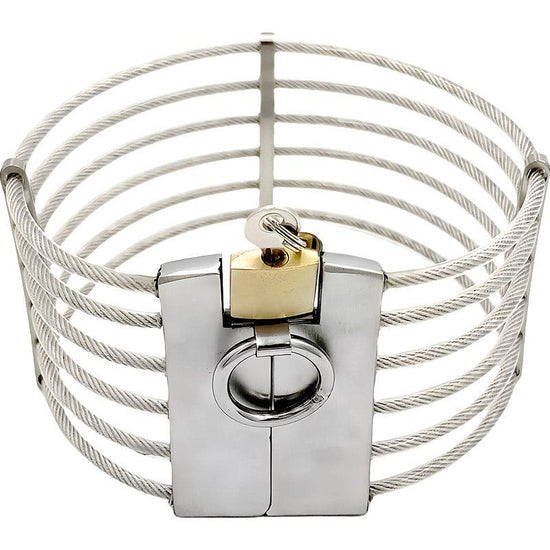 THORN GARDEN™ 0.5kg stainless steel wire slave collar free shipping