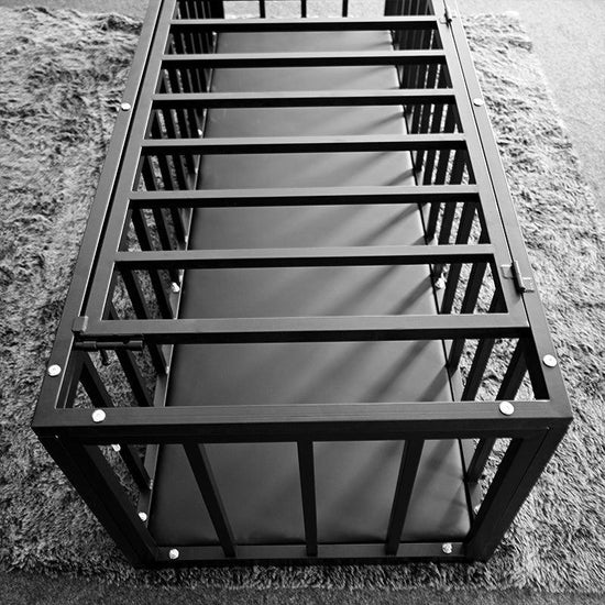 THORN GARDEN™ bdsm Forced to sleep in a standing cage free shipping