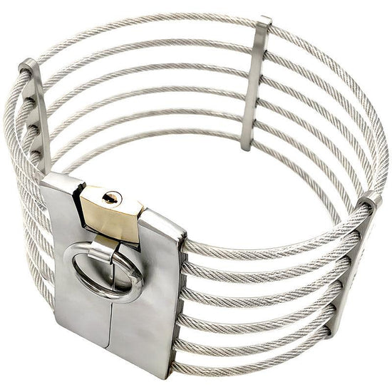 THORN GARDEN™ 0.5kg stainless steel wire slave collar free shipping