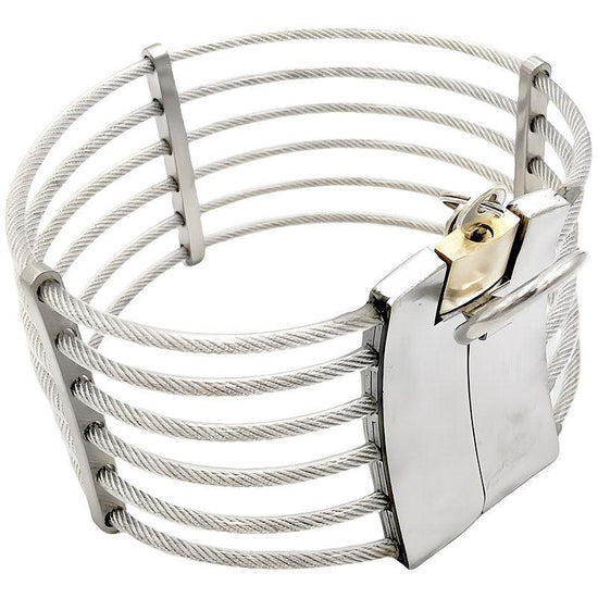 THORN GARDEN™ 0.5kg stainless steel wire slave collar free shipping