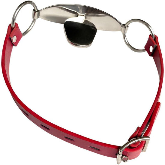 THORN GARDEN™ bdsm stainless steel mouth plug free shipping