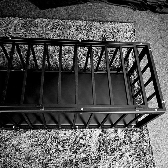 THORN GARDEN™ bdsm Forced to sleep in a standing cage free shipping