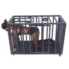 THORN GARDEN™ Bdsm металлическая клетка для ограничения - Бесплатная доставка