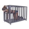 THORN GARDEN™ Bdsm металлическая клетка для ограничения - Бесплатная доставка