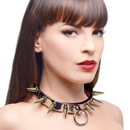 THORN GARDEN™ 0.55kg 2cm high stainless steel bdsm collar and free shipping