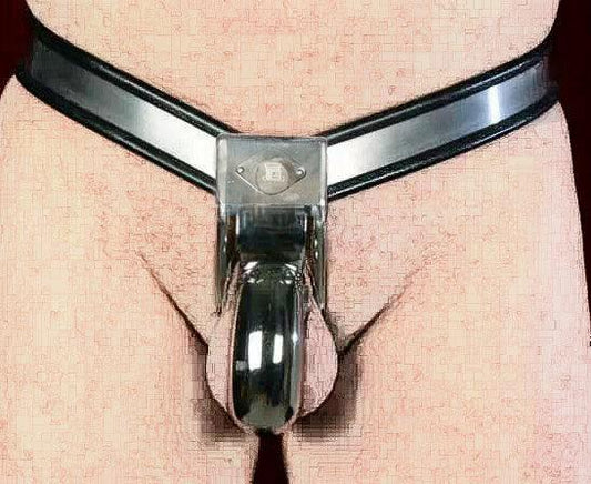 THORN GARDEN™ High-Quality Stainless Steel Y-Type Male Chastity Device with Lock