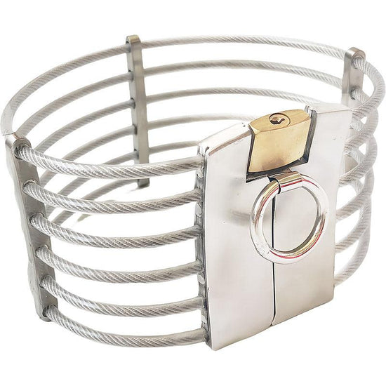 THORN GARDEN™ 0.5kg stainless steel wire slave collar free shipping