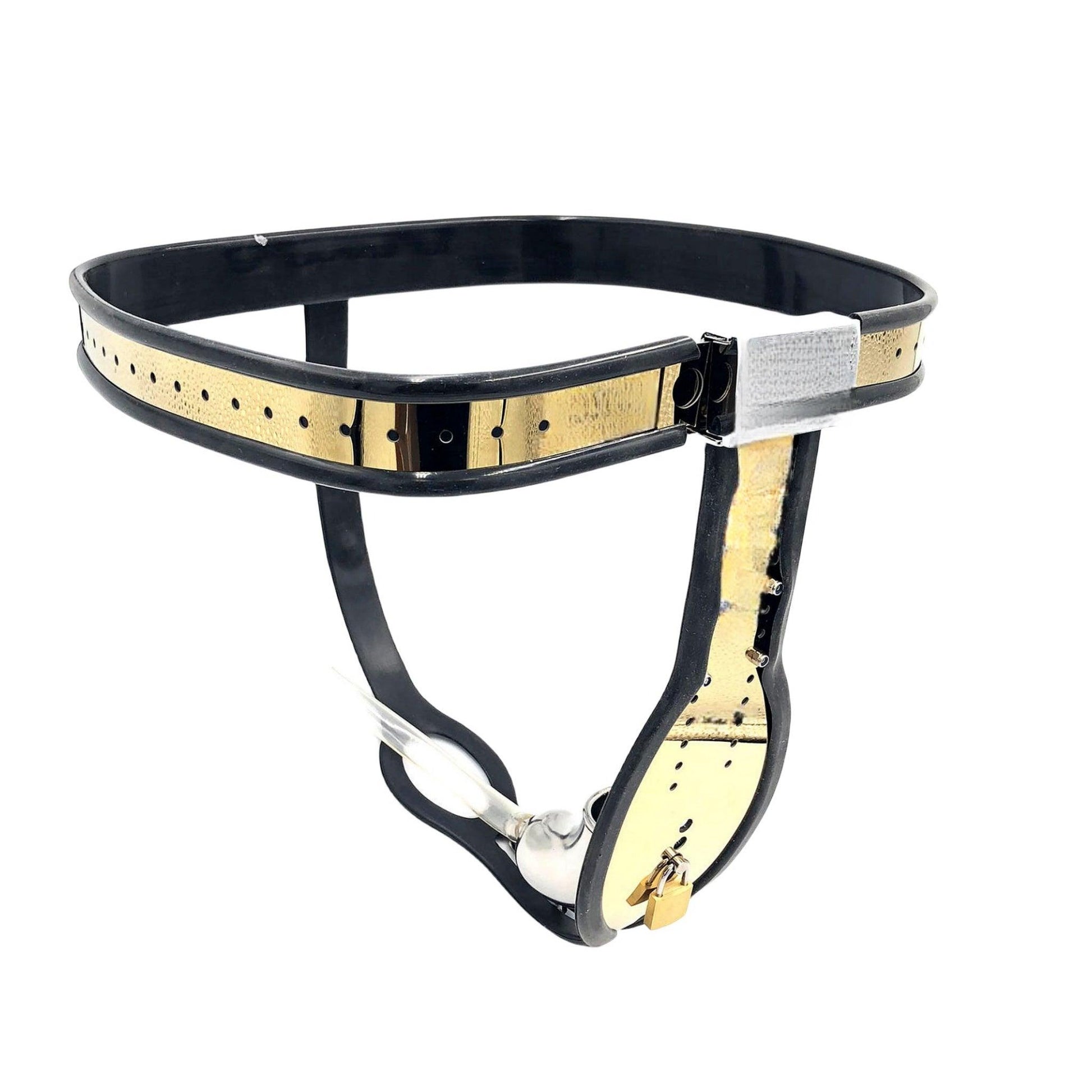 THORN GARDEN™ BDSM Titanium Chastity Lock - Secure Online Shopping, Free Shipping