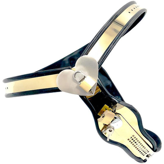 THORN GARDEN™ Titanium female chastity belt free shipping