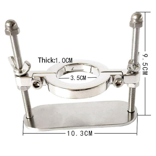 THORN GARDEN™ 0.25kg Stainless Steel Bdsm Device Scrotum Squeeze and free shipping
