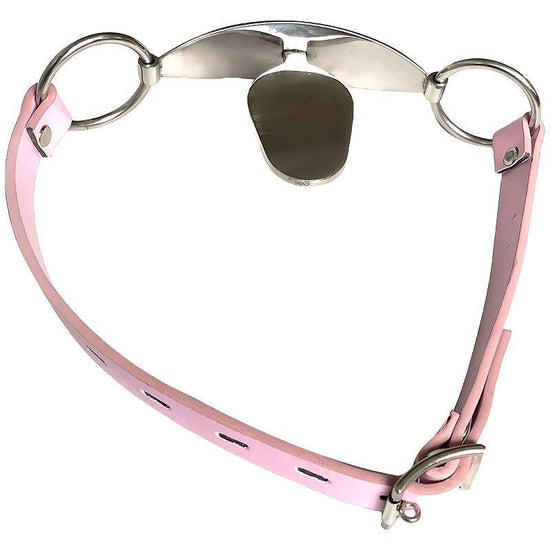 THORN GARDEN™ bdsm stainless steel mouth plug free shipping