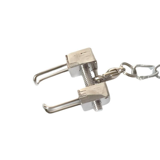 THORN GARDEN™ Stainless steel chain bdsm nose hook free shipping