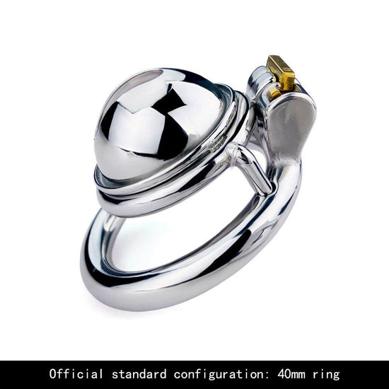 THORN GARDEN™ Compact & Concealed: The Stainless Steel Miniature Chastity Lock