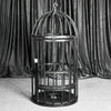 THORN GARDEN™ Подвесная клетка для птиц Bdsm - Бесплатная доставка