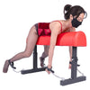THORN GARDEN™ bdm bondage horse bench free shipping