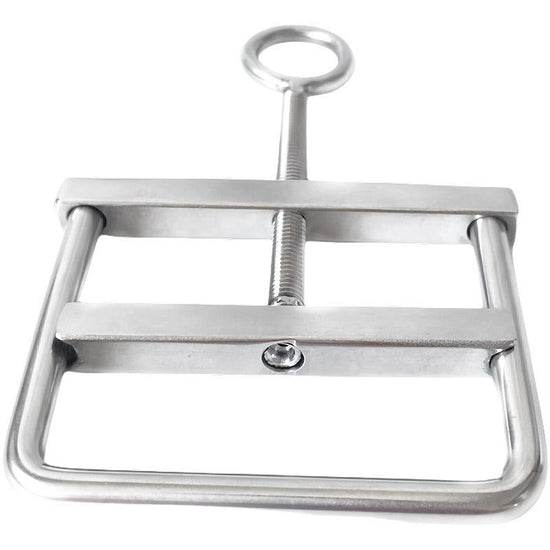 THORN GARDEN™ 118g Stainless Steel Scrotum Squeeze Clamps