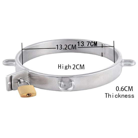 THORN GARDEN™ 0.5kg 2cm high stainless steel bdsm collar and free shipping