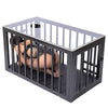 THORN GARDEN™ removable bdsm cage free shipping