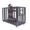 THORN GARDEN™ Bdsm металлическая клетка для ограничения - Бесплатная доставка