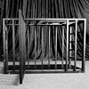 THORN GARDEN™ BDSM metal sleeping cage with free shipping