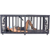 2-in-1 Bondage Confinement Cage