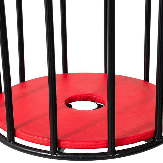 THORN GARDEN™ metal hanging bondage cage free shipping