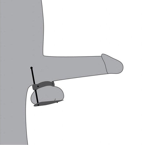 THORN GARDEN™ 0.25kg Stainless Steel Bdsm Device Scrotum Squeeze and free shipping