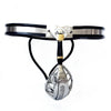 THORN GARDEN™ All-in-One Chastity Belt with Built-In Lock - Secure BDSM Play