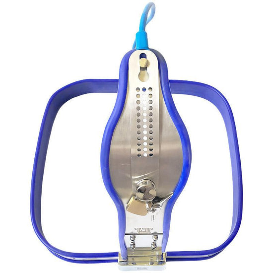 THORN GARDEN™ blue single wire chastity belt for women, can be used with anal plug and vaginal plug