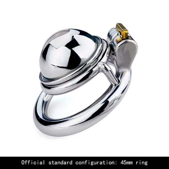 THORN GARDEN™ Compact & Concealed: The Stainless Steel Miniature Chastity Lock