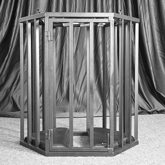 THORN GARDEN™ bdsm metal hanging cage free shipping